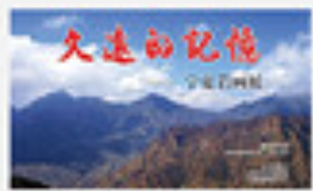 四张小图加文字2